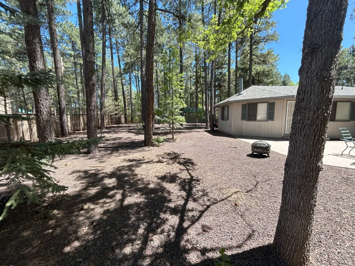 This image captures a peaceful exterior yard scene framed by tall pine trees, showcasing a gravel yard area next to the house. Visible are a patio with comfortable chairs and an inviting fire pit, suggesting spaces for outdoor relaxation and gatherings.